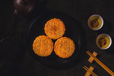 益智游戏《初音未来逻辑绘画S》本月19日登陆Xbox和PC